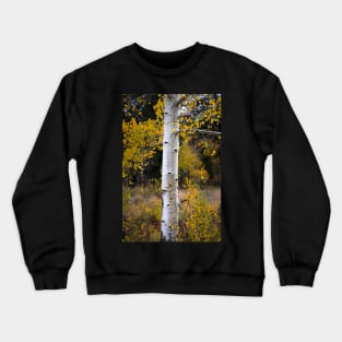 Aspen Bark Crewneck Sweatshirt